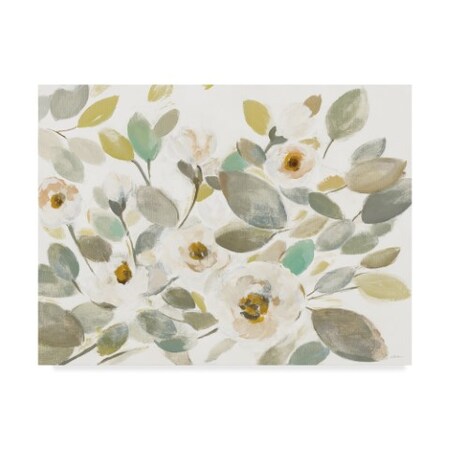 Silvia Vassileva 'Blooming Branches II On White' Canvas Art,18x24